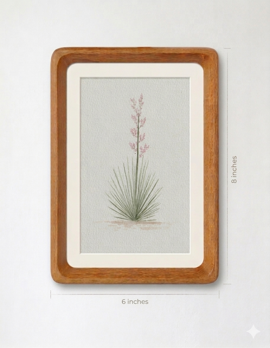 Texas Yucca Series — Original Watercolor Set of 3