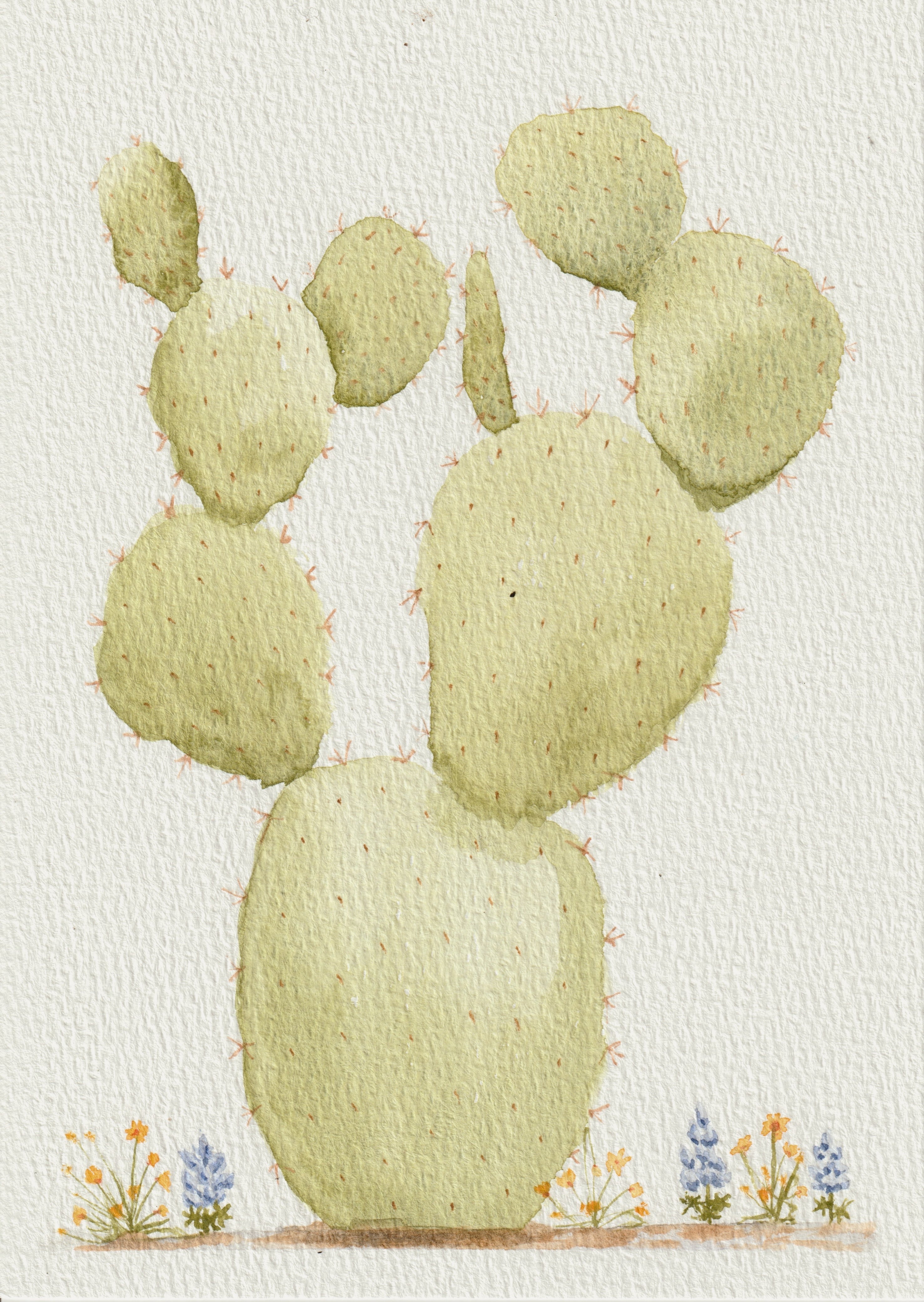 Prickly Pear and Wildflowers