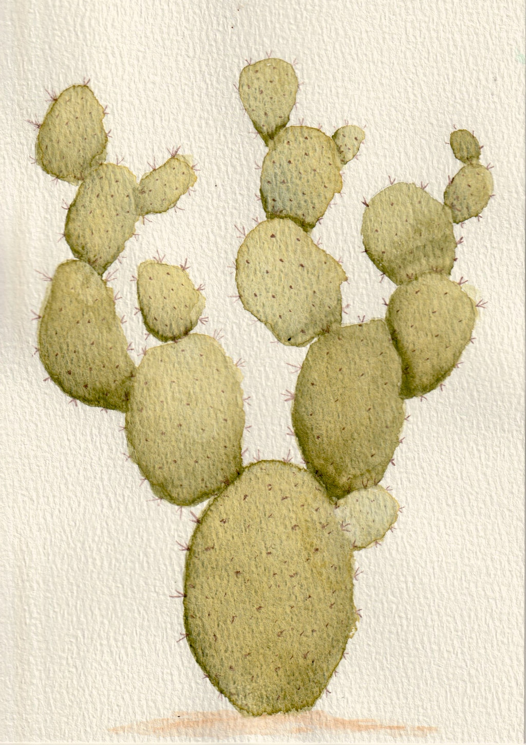 Rustic Prickly Pear