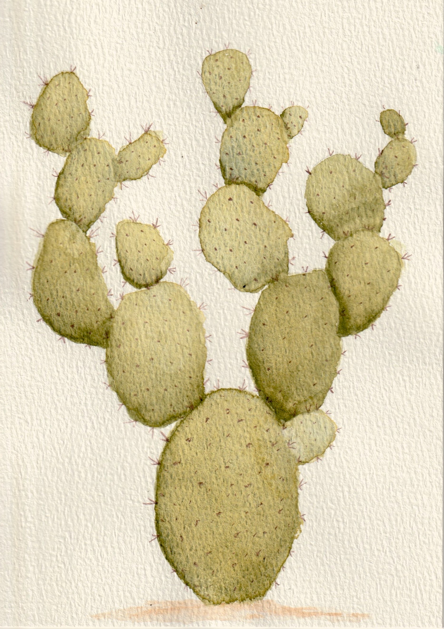 Rustic Prickly Pear