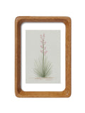 Texas Yucca Series — Original Watercolor Set 1 of 3