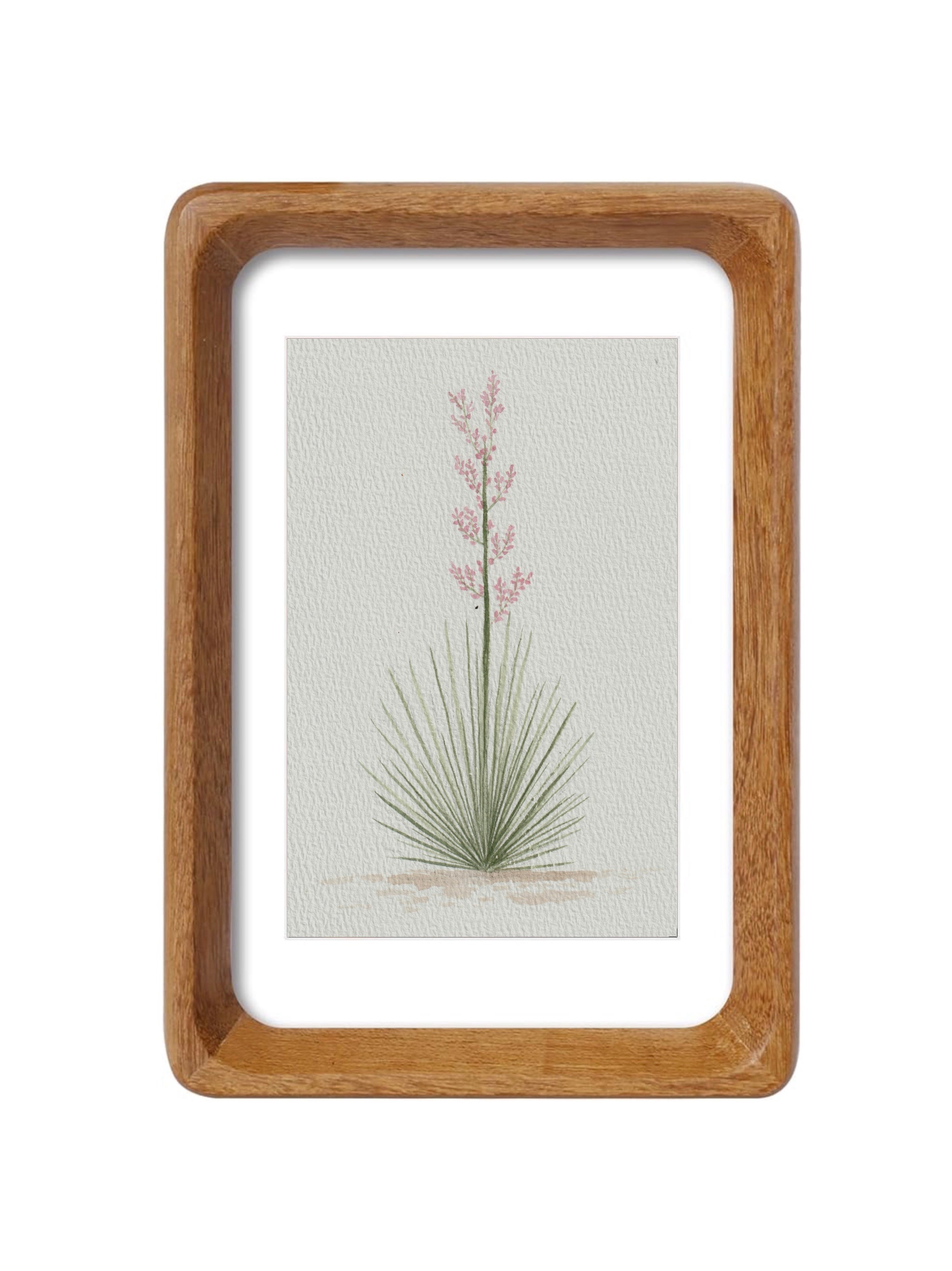 Texas Yucca Series — Original Watercolor Set 1 of 3