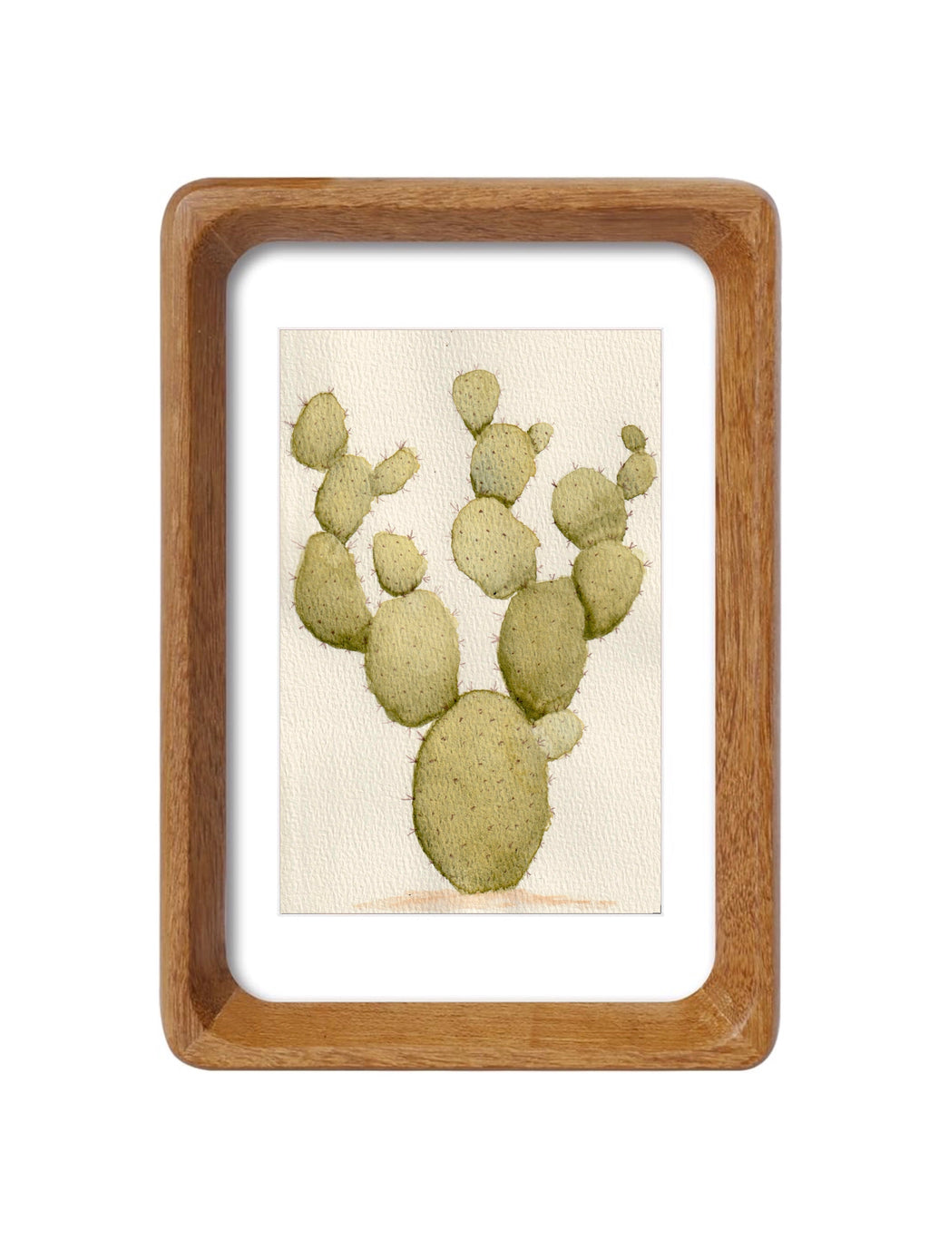 Rustic Prickly Pear