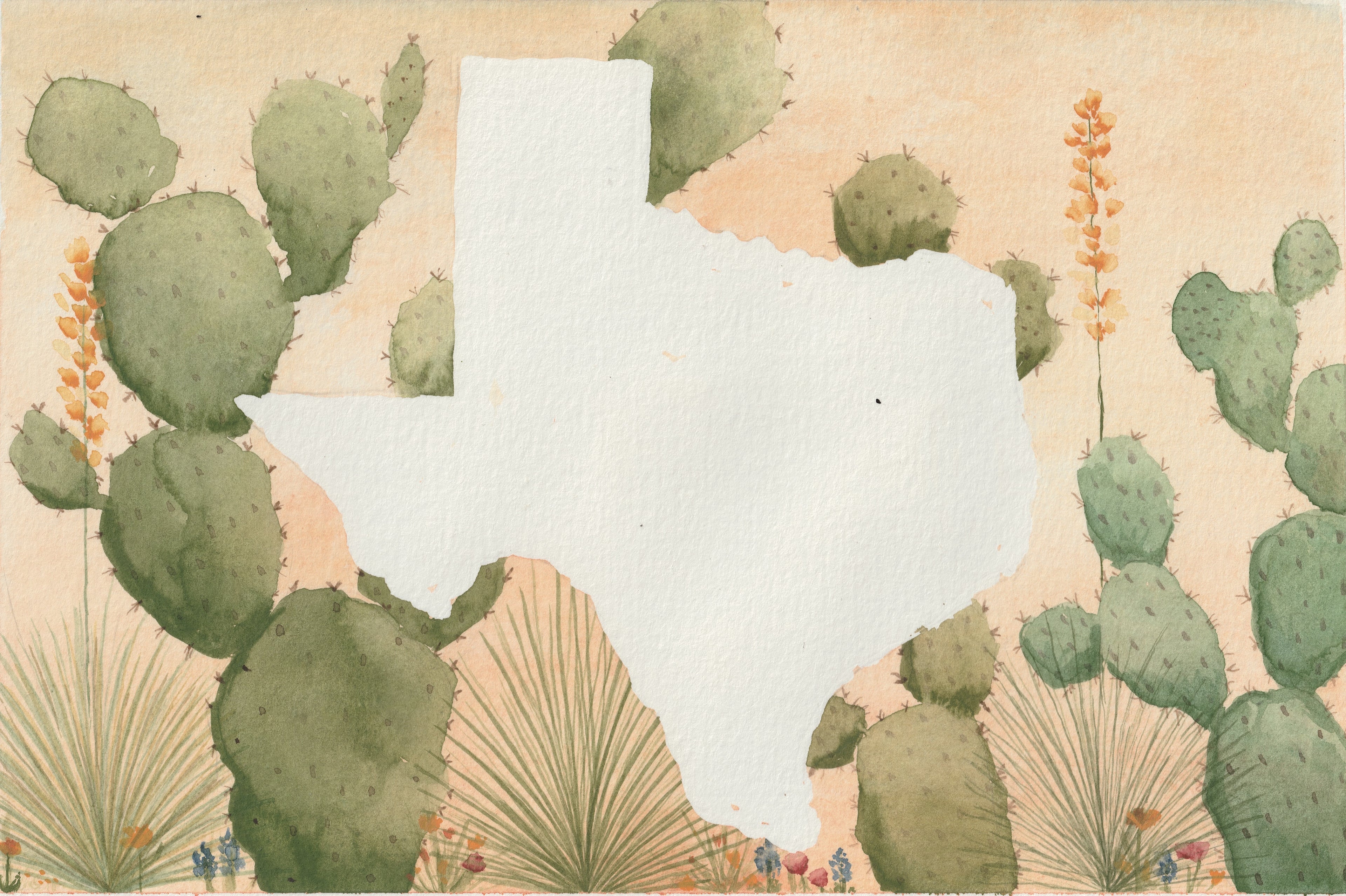 Texas Space