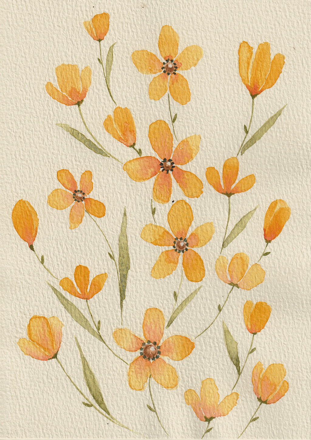Yellow Wildflowers