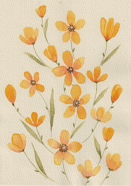 Yellow Wildflowers